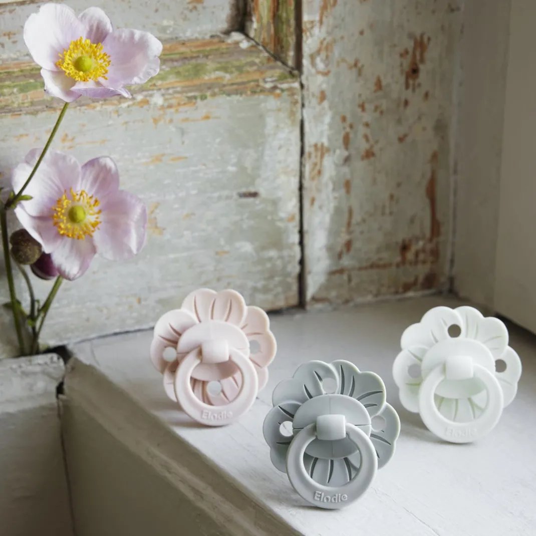 Binky Bloom Napp & Napphållare Set - Powder Pink